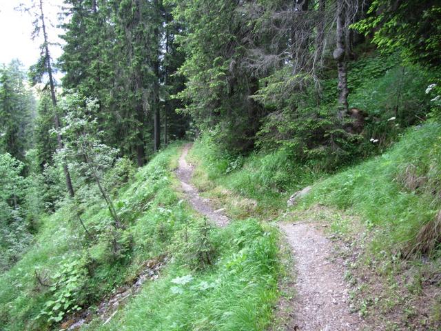 nach der Fuederegg haben wir den Wanderweg eingeschlagen der uns wieder runter nach Grüt bringt