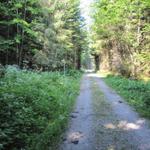 kurz nach Chalchofen 1183 m.ü.M. führt der Pfad links aufwärts