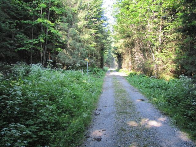 kurz nach Chalchofen 1183 m.ü.M. führt der Pfad links aufwärts