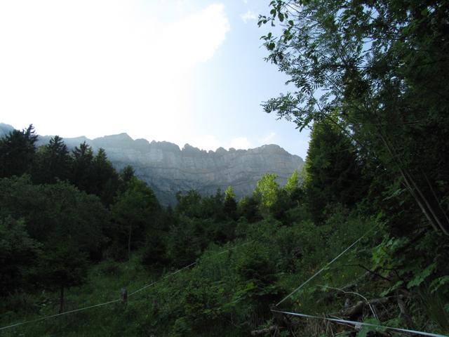 am Fusse der Felswand des Chapf, verläuft der Wanderweg