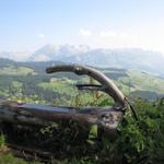 wir haben Inggernast erreicht. Blick Richtung Alpstein