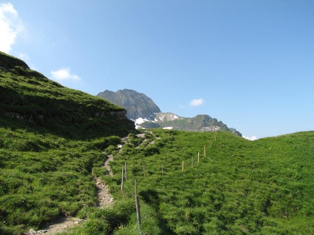 wir haben Schlösslichopf 1806 m.ü.M. erreicht