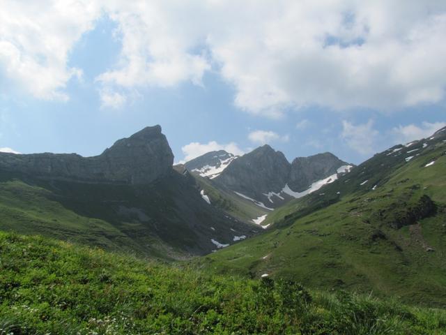 Blick zum Gamsberg und Isisixer Rosswis