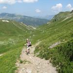 Mäusi auf breitem Wanderweg Richtung Isisixgrat