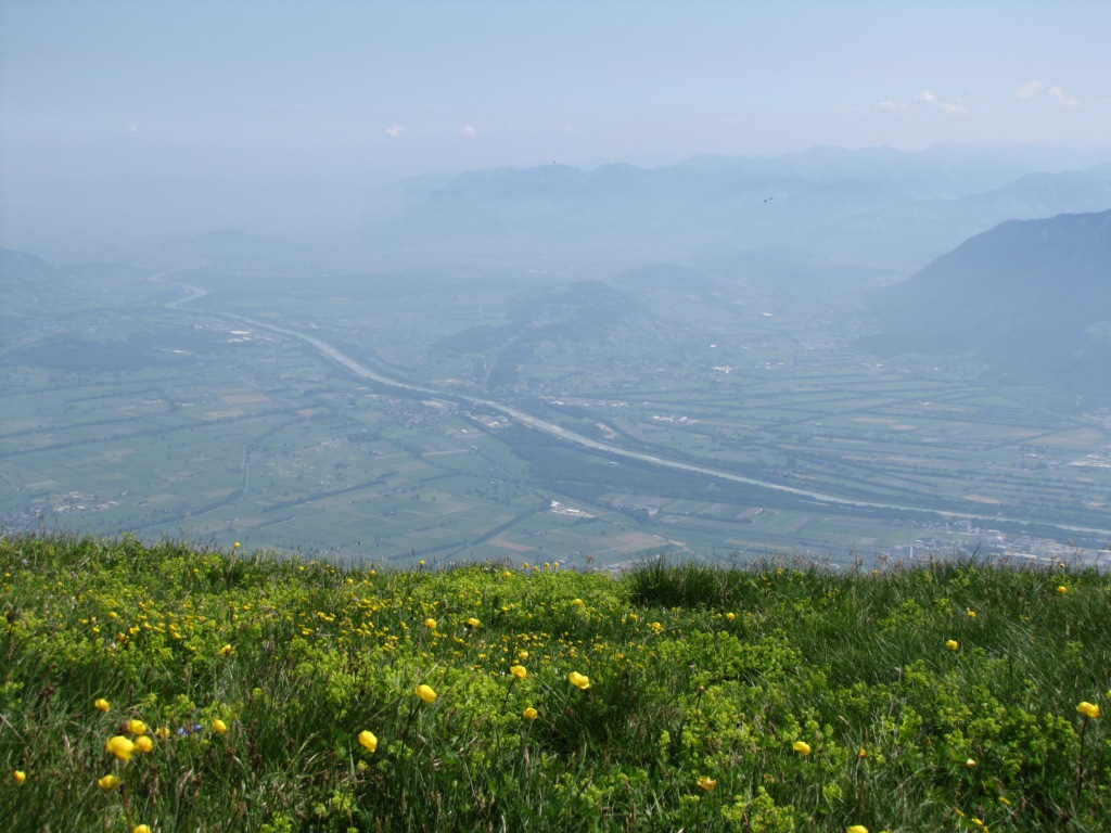 Blick runter ins Rheintal