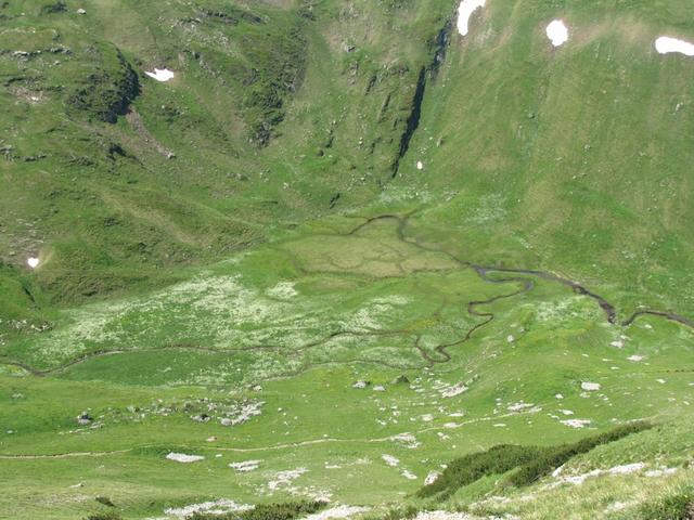 Blick runter nach Riet und der mäandrierender Bach