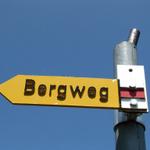 die Wege hier sind gut markiert