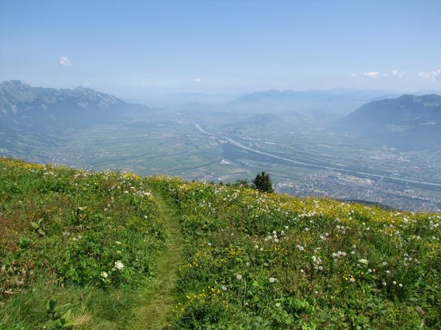 was für eine schöne Aussicht !