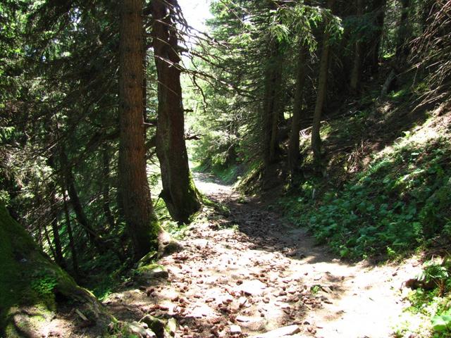 wir haben den Buchser Hochwald erreicht