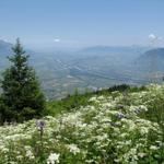 und immer wieder so eine schöne Aussicht