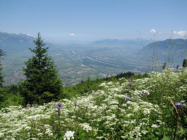 und immer wieder so eine schöne Aussicht