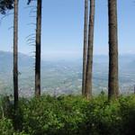 was für eine schöne Aussicht vom Chelenwald aus gesehen