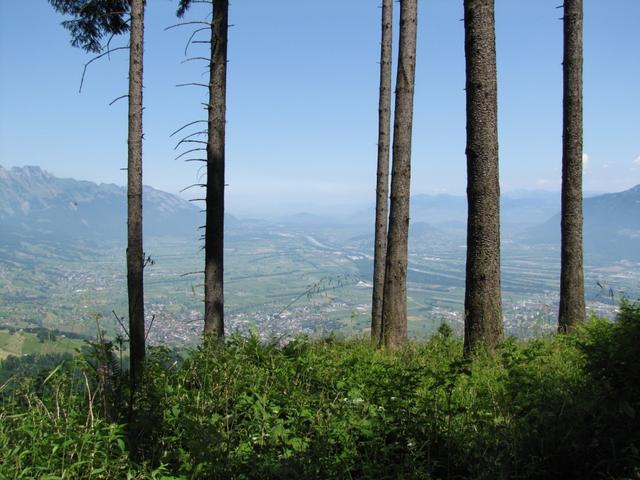 was für eine schöne Aussicht vom Chelenwald aus gesehen