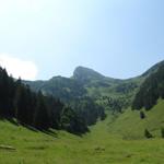 auf Alp Ivelspus mit Blick zum Margelchopf