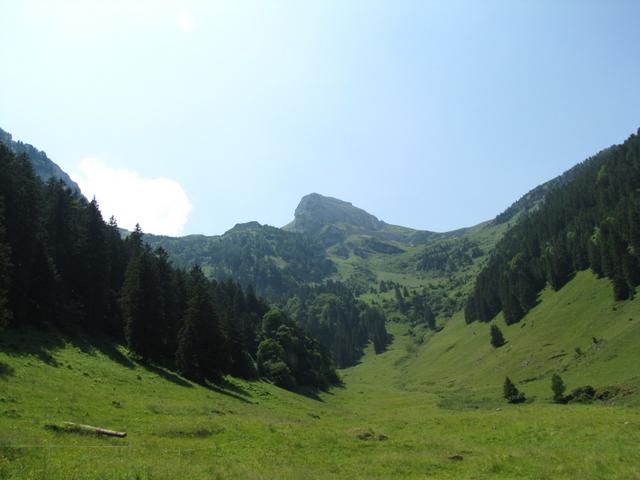 auf Alp Ivelspus mit Blick zum Margelchopf