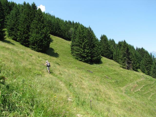 wir haben im Gschwemmten hinter uns gelassen und wandern nun Richtung Voralp