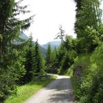 im Val Plattas auf breiter Alpstrasse geht es Richtung Camona da Medel