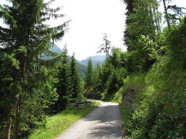 im Val Plattas auf breiter Alpstrasse geht es Richtung Camona da Medel