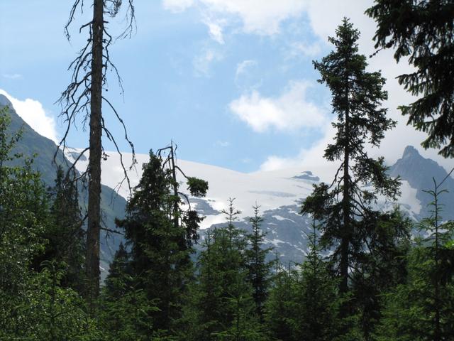 schon von weitem sichtbar der Piz Medel mit seinem Gletscher