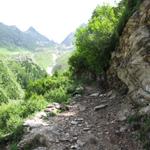 hier endet die Alpstrasse. Ein gut angelegter Wanderweg führt uns weiter aufwärts