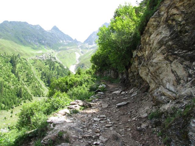 hier endet die Alpstrasse. Ein gut angelegter Wanderweg führt uns weiter aufwärts