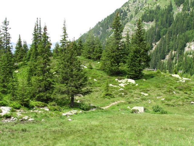 bei Punkt 1869 m.ü.M. haben wir Mittagspause gemacht. Ein schönes Plätzchen