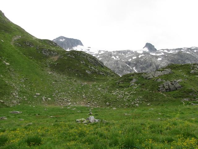 auf Alp Sura