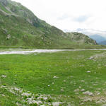 Breitbildfoto der Alp Sura