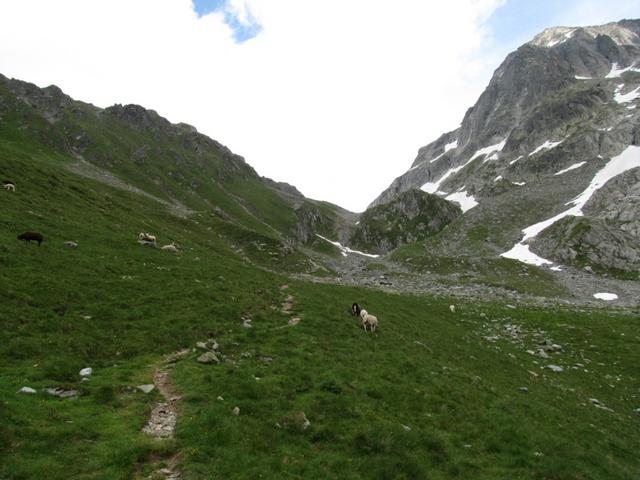 es dauert aber noch eine gewisse Zeit bis wir die Camona da Medel erreicht haben