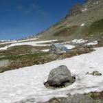 bei Stavelatsch 2329 m.ü.M. auf der Alp Lavax