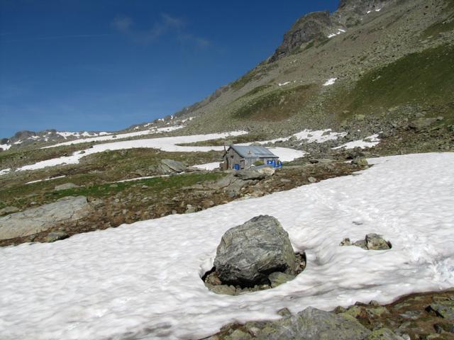 bei Stavelatsch 2329 m.ü.M. auf der Alp Lavax