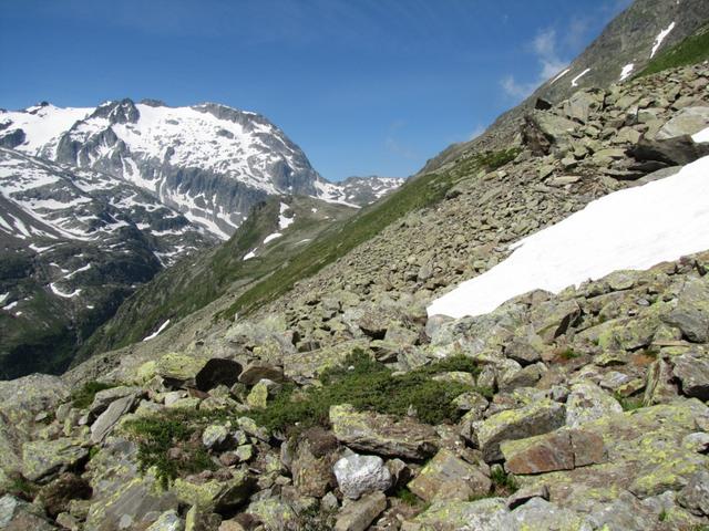 Blick zurück zum schwersten Teilstück der Wanderung. Der Wanderweg führt über Geröll und Blockschutt