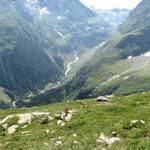 tief unter uns das Val Sumvitg. Rechts sieht man den Übergang in die Greina Ebene und zur Terri Hütte