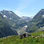 Blick von der Alphütte Rentiert Dadens Richtung Übergang zur Camona da Terri und in die Greina Ebene