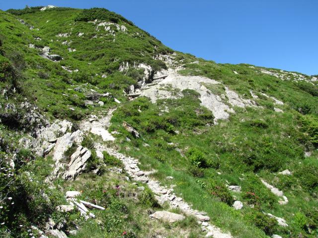 nach der Alphütte Rentiert Dadens führt der Weg zuerst aufwärts Richtung Tenigerbad