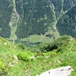 700 Höhenmeter tiefer liegt Run im Val Sumvitg