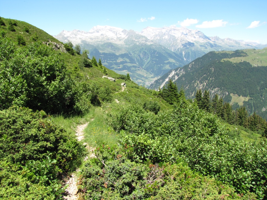 bei Punkt 1863 m.ü.M. Richtung Tenigerbad