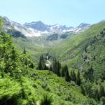 Blick ins Val Vallesa bei Punkt 1779 m.ü.M.