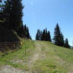 die Kehrseite der Skigebiete. Wanderweg auf ein einer Skipiste