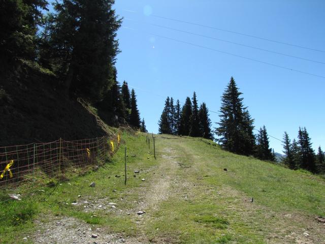 die Kehrseite der Skigebiete. Wanderweg auf ein einer Skipiste