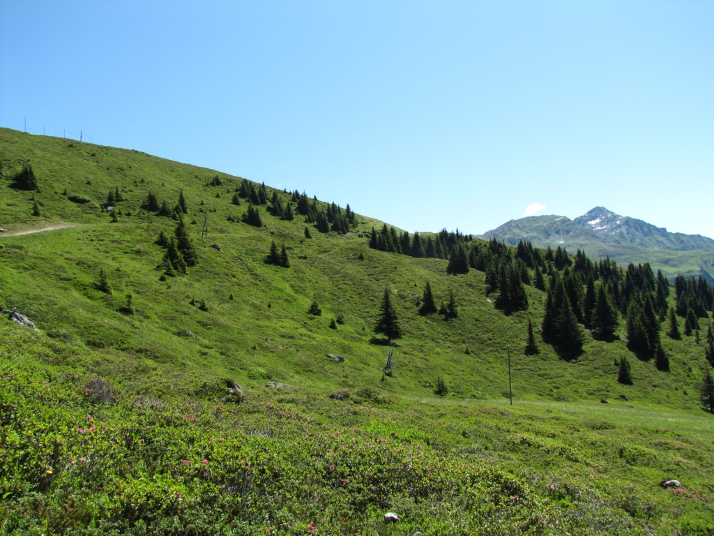 beim Zügenhüttli 2063 m.ü.M.