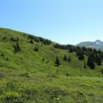 beim Zügenhüttli 2063 m.ü.M.