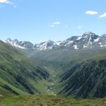 Blick ins Schlappintal mit Gross Seehorn und Gross Litzner