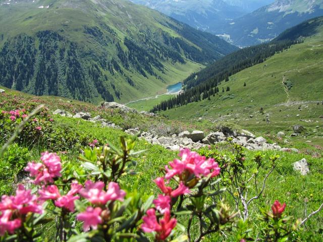 Blick runter nach Schlappin mit See