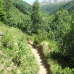 bei Punkt 1992 m.ü.M. überschreiten wir den Furggabach