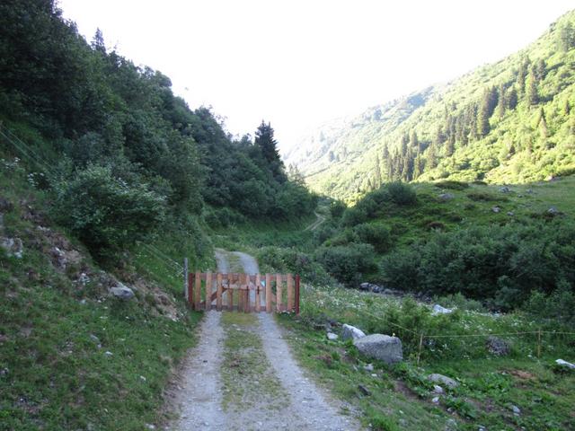 der Wanderweg führt auf einer Naturstrasse weiter ins Schlappintal hinein