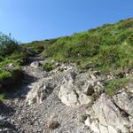 ein einfacher Bergpfad führt einem nach Säss auf Alp Äbi