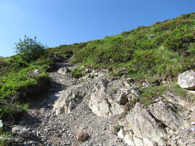 ein einfacher Bergpfad führt einem nach Säss auf Alp Äbi