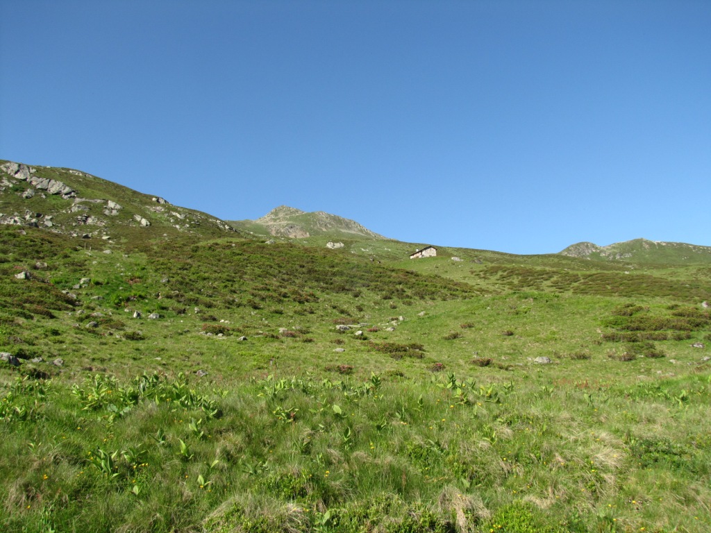 die Alphütte Säss 2085 m.ü.M.