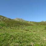 die Alphütte Säss 2085 m.ü.M.